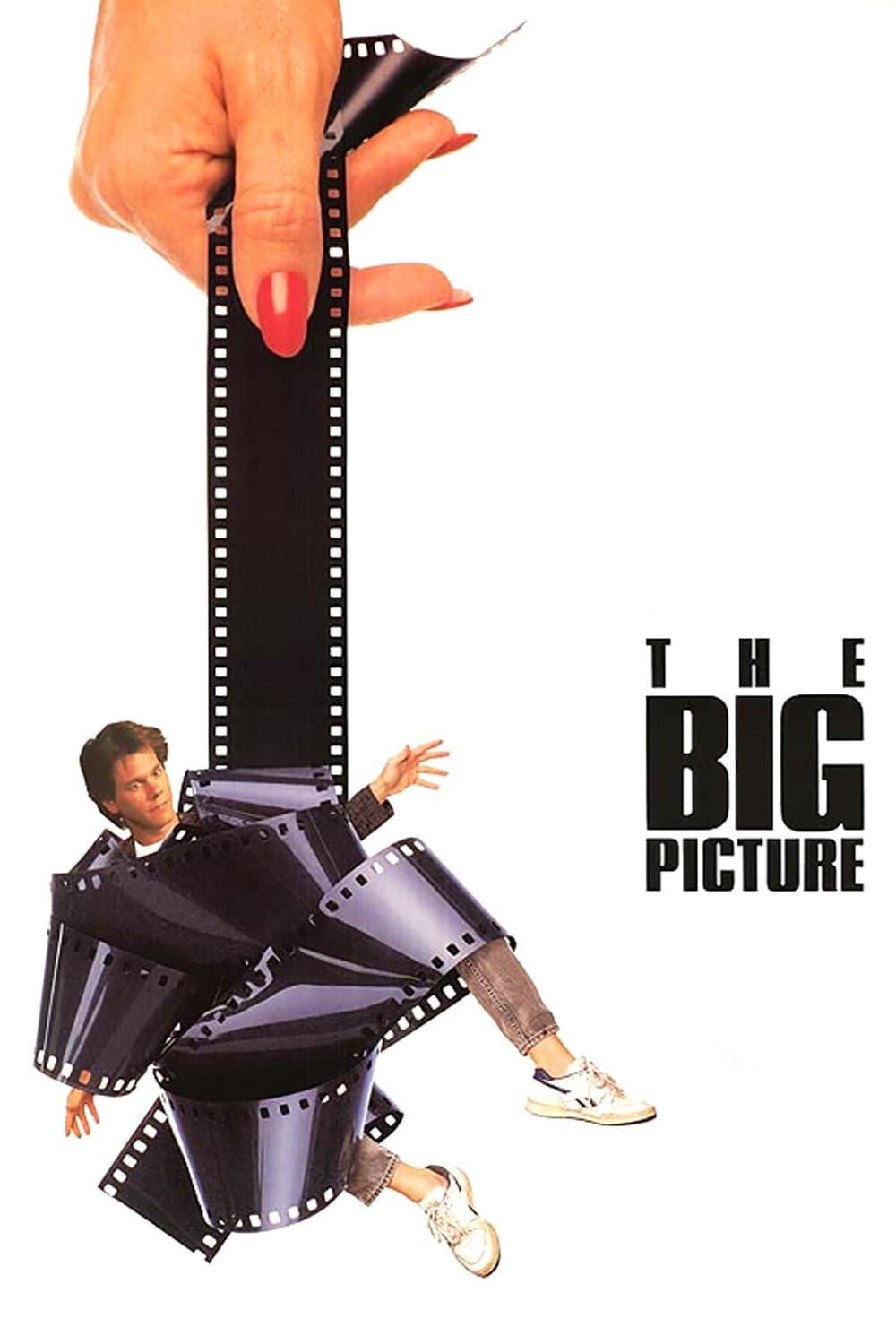 Постер The Big Picture